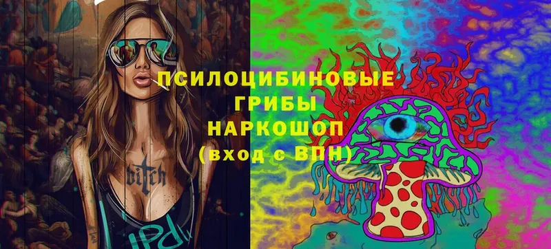 Галлюциногенные грибы MAGIC MUSHROOMS  Талица 